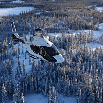 H160 flying over snowy forest